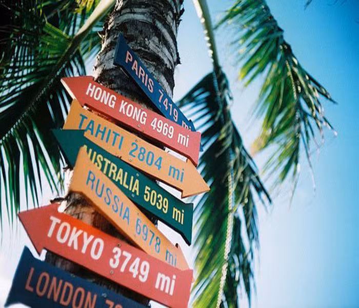 4. Lên kế hoạch tham dự những sự kiện vui vẻ. Dù rằng, lúc này bạn không thể tham dự, cũng nên lên kế hoạch cho kỳ nghỉ tiếp theo hoặc tìm một nơi du lịch vào cuối tuần, hay chỉ cần tìm những bộ phim dự định sẽ xem. Lên kế hoạch xong hãy note vào lịch trình của mình. Chỉ cần nghĩ tới những kế hoạch đó, tự khắc bạn sẽ cảm thấy hào hứng.