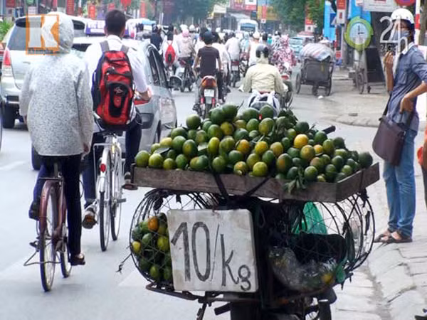 Giá cả. Giá cam Hà Giang tại vườn từ 10 đến 15.000 đồng/kg, thời điểm cao nhất 50.000 đồng vào cuối vụ. Trong khi đó, cam Trung Quốc đội lốt được chào hàng với giá rất rẻ, khoảng 10.000 đồng/kg, thậm chí có nơi bán với giá chỉ 7000 đồng.