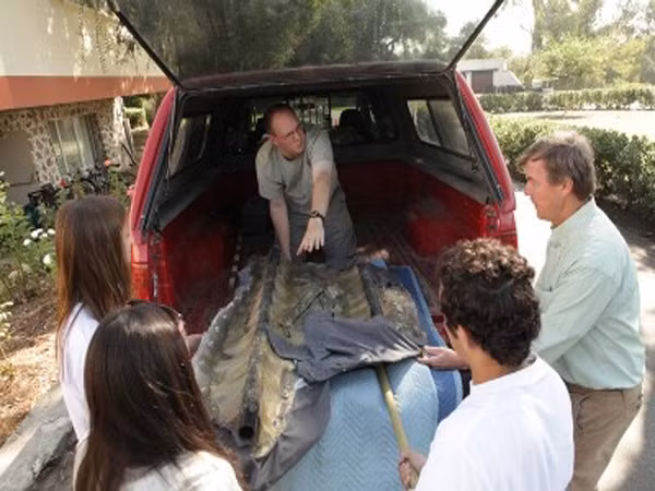 Với sự giúp đỡ của một nhà cổ sinh vật học và người phụ trách của bảo tàng, Terris và các bạn cùng lớp khai quật phần còn lại hài cốt của con khủng long, một động vật ăn cỏ kỷ Phấn Trắng, loài xuất hiện khoảng 75 triệu năm trước.