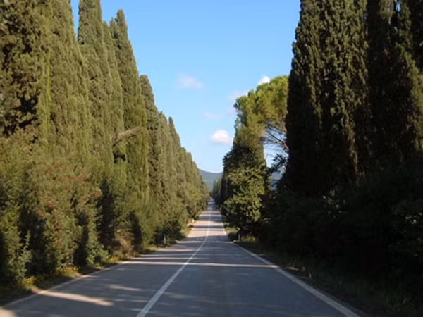 2. Làng Bolgheri, Italy. Con đường dẫn vào làng dài ba dặm có 2500 cây Bách. Nằm hai bên là những vườn nho bạt ngàn.