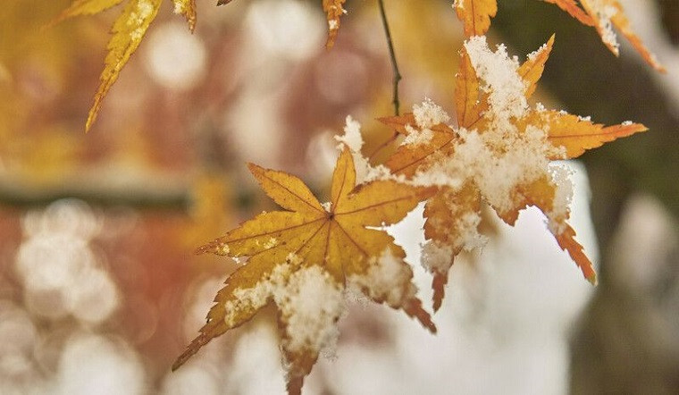 Khi tiết Lập Đông xuất hiện, đánh dấu sự thay đổi cả về nhiệt độ, ánh sáng, độ ẩm. Điều này ảnh hưởng trực tiếp đến sự phát triển của động thực vật cũng như cuộc sống và sinh hoạt của con người.