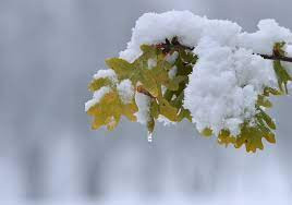 Tiết Lập Đông thông thường sẽ bắt đầu vào ngày 07 hoặc 08/11 dương lịch và kết thúc vào ngày 22/11 dương lịch hàng năm.