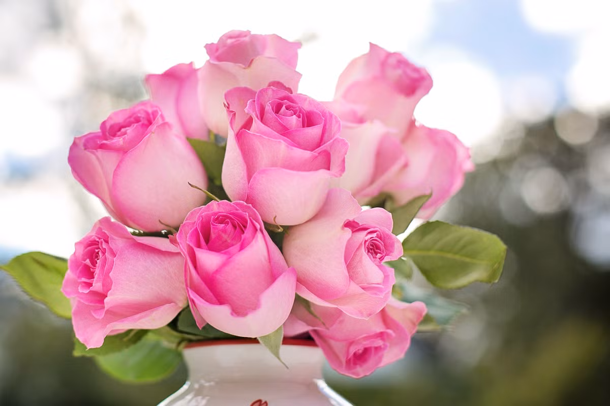 3 con giap tot bung, khiem nhuong, co quy nhan phu tro