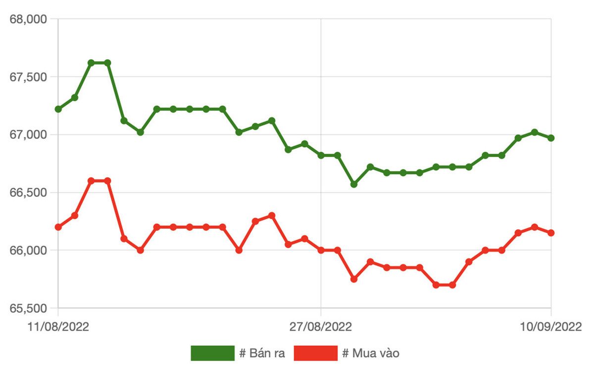 Giá vàng hôm nay 11/9: Kết thúc tuần giằng co, tăng giảm thất thường Gia vang hom nay 11/9: Ket thuc tuan giang co, tang giam that thuong