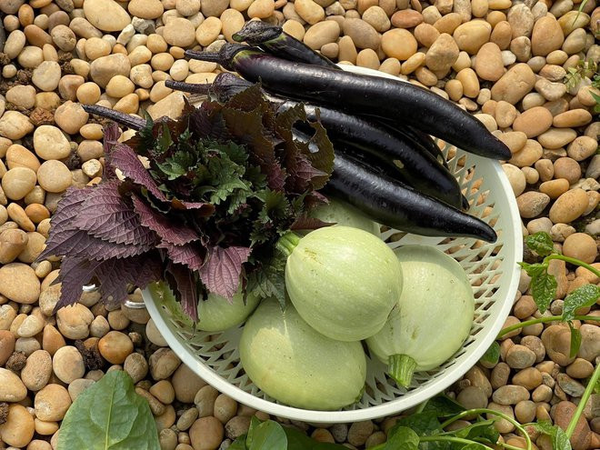 Ngam khu vuon 300m2 ngap tran hoa trai o Ha Giang-Hinh-11