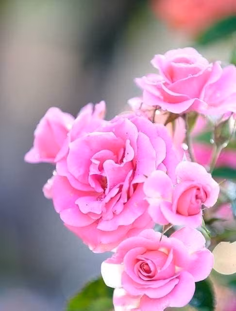 Nha nao co con sinh vao 3 gio nay hung vuong, tram nam may man-Hinh-2