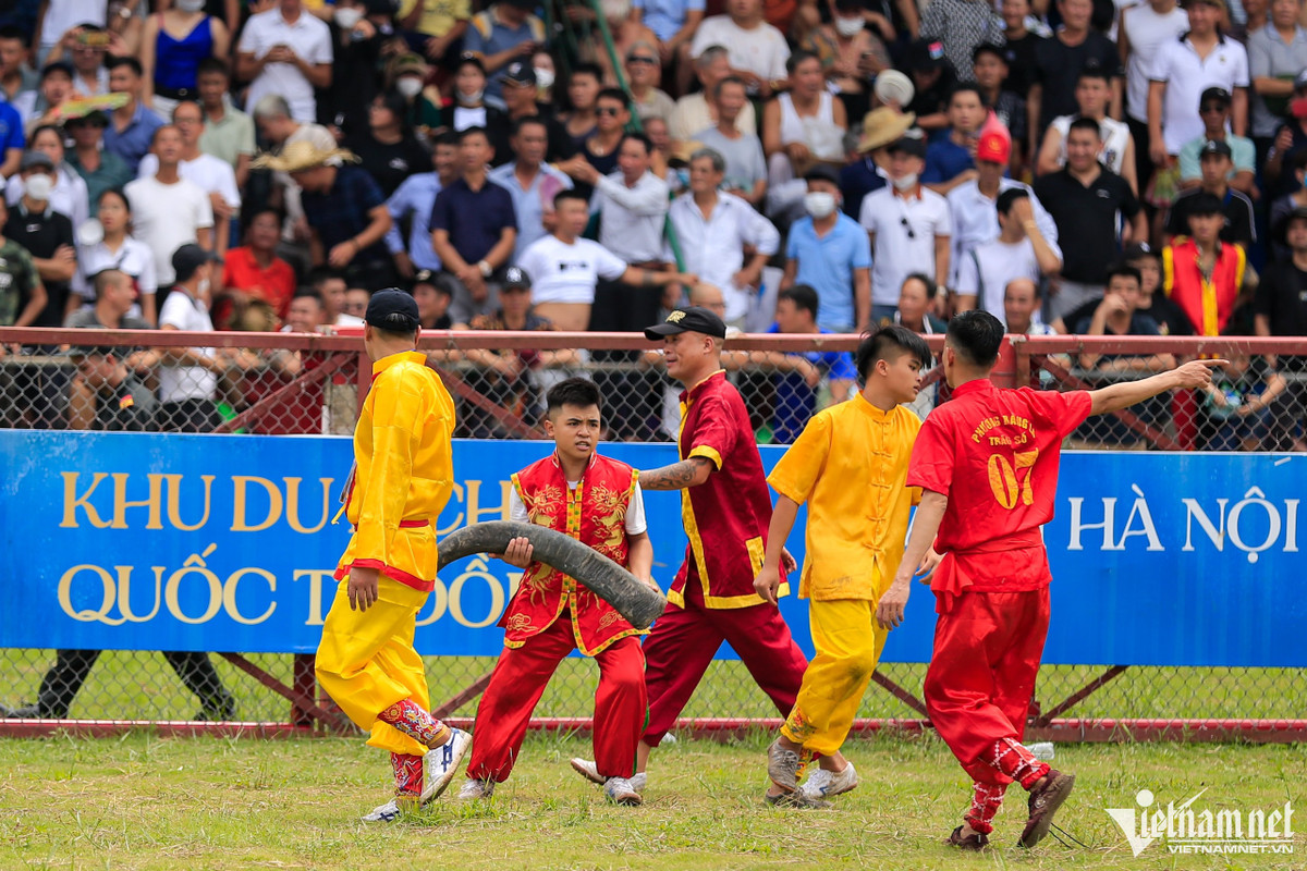 Một thanh niên trong đội quản trâu 07 liền vội vàng chạy đến nhặt lấy chiếc sừng bị gãy.