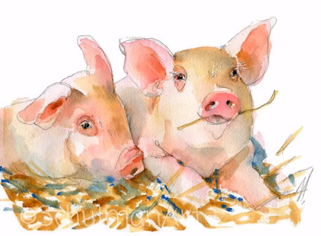 May mắn và hạnh phúc luôn theo sát họ, giúp họ có được một cuộc sống đầy đủ và thịnh vượng. Thậm chí, khi bước vào giai đoạn nghỉ hưu, những người sinh năm Hợi cũng có thể nhìn lại một đời người đầy ắp những kí ức tươi đẹp, một cuộc sống hạnh phúc và đầy ấm áp bên gia đình và bạn bè, một kết thúc hoàn hảo cho một cuộc hành trình đáng nhớ. (Thông tin mang tính chiêm nghiệm).