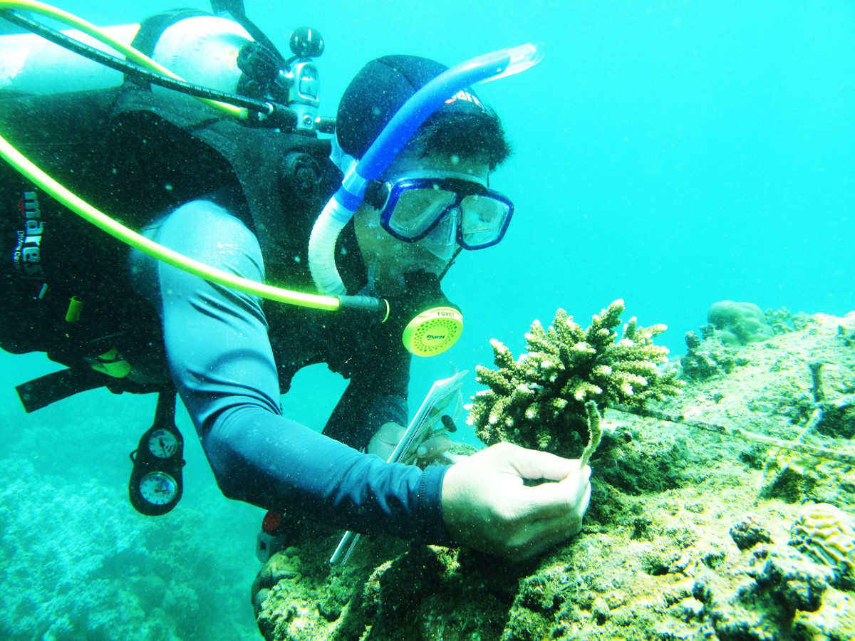 Cong tac bao ton he sinh thai Cu Lao Cham duoc quoc te ca ngoi