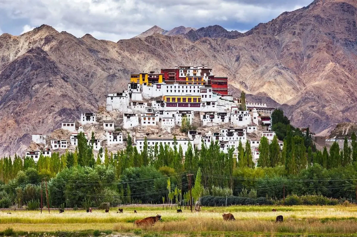 Các nhà sư này đã đàm đạo với vua của Ladakh và được đồng ý cho thành lập một tu viện ở nơi đây. Ảnh: Tusk Travel.