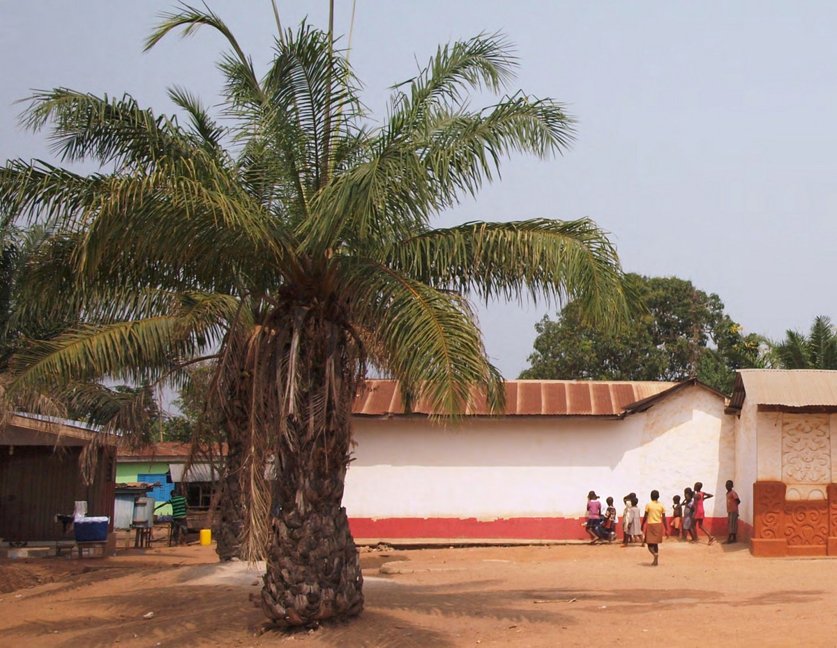 Giới chuyên gia đánh giá, các công trình này là minh chứng cuối cùng của một phong cách truyền thống châu Phi bản địa đặc sắc giai đoạn Cận đại. Ảnh: World Monument Fund.