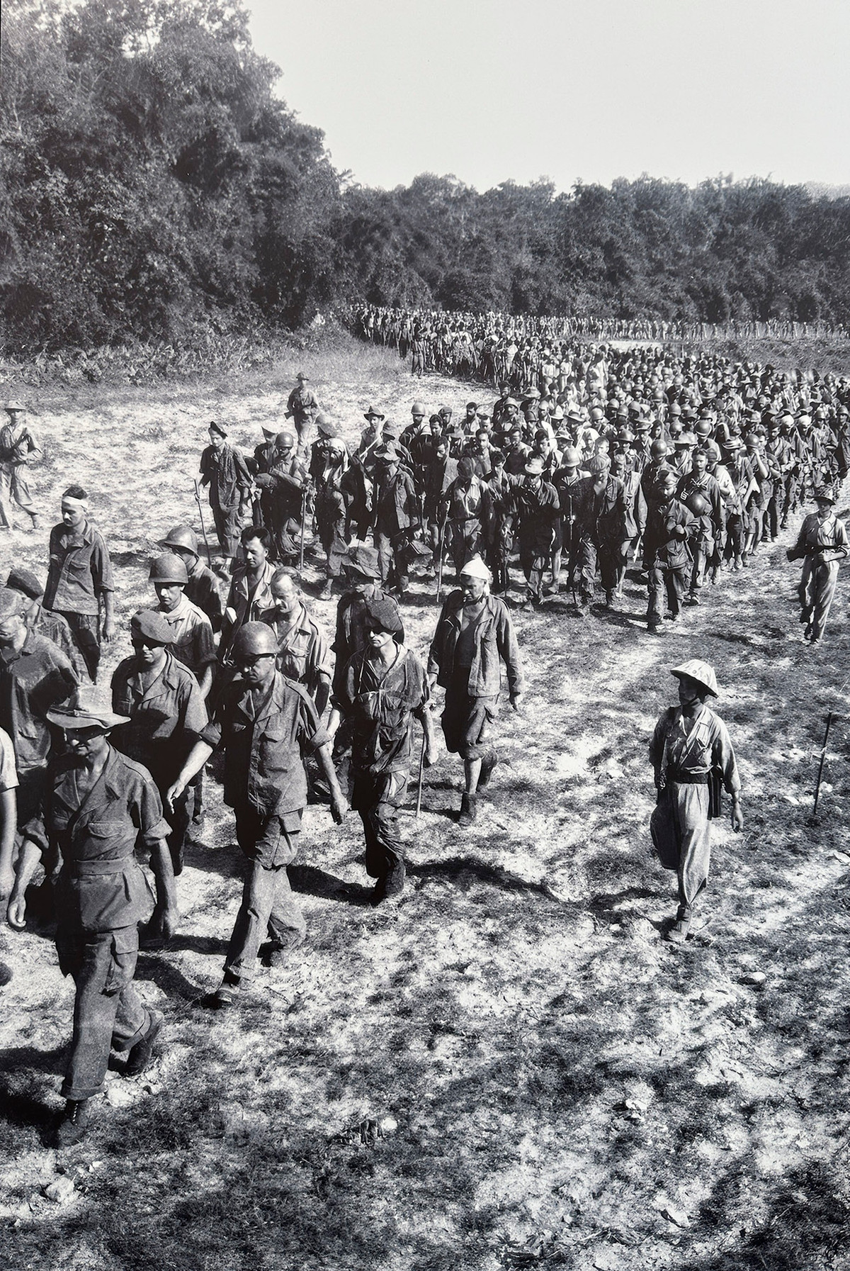 Dẫn giải tù binh Pháp.