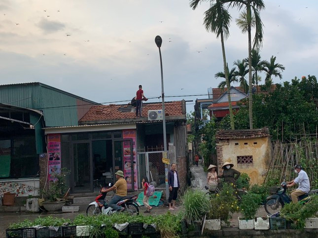 Chủ tịch UBND phường Phong Hải Nguyễn Đình Phố cho biết, trong cơn mưa xuất hiện vùng xoáy lốc cỡ lớn có thể nhìn thấy bằng mắt. Dù xuất hiện chỉ 3 phút nhưng đã làm hơn 71 hộ dân, 2 nhà văn hóa khu phố bị ảnh hưởng, đa số trong đó là tốc mái, bay tôn, nhiều cây cối bị quật đổ. (Người dân Quảng Yên được một phen hú vía khi bị lốc xoáy quét qua)