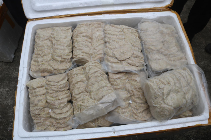 Bat giu hon 6 tan thit ga Dong Tao, gio heo rut xuong-Hinh-3