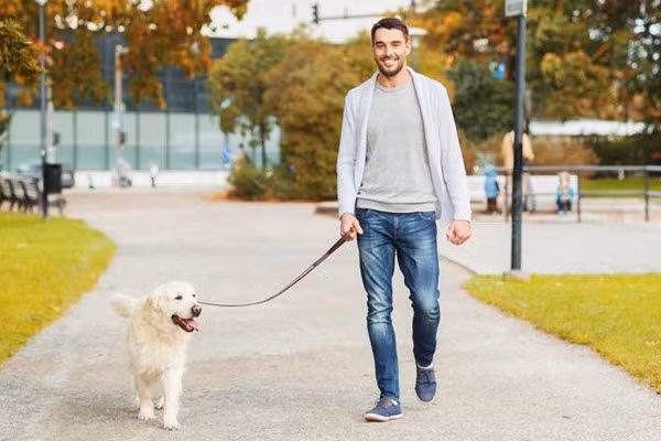 Ly do nen di 100 buoc sau khi an