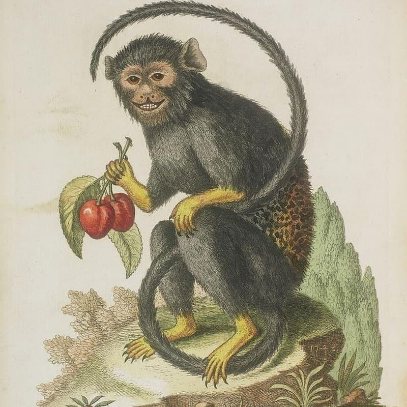 Tuổi Thân. Tuổi Thân là người sống giàu tình cảm, chính trực, liêm minh khi đối mặt với khó khăn vướng mắc trong cuộc sống vẫn có thể biến nguy thành an nhờ vận dụng khéo léo năng lực, trình độ bản thân mà gặt hái thành công trong tầm tay.