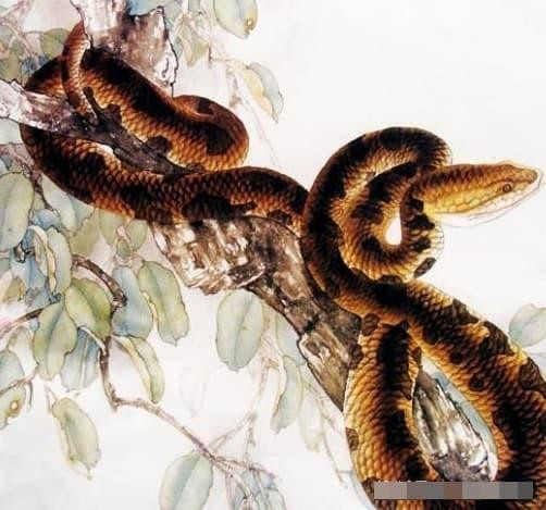 Tuổi Tỵ. Tuổi Tỵ nổi danh là con giáp thích sự thực tế và kiên trì trong công việc dù cho có gặp bất cứ khó khăn nào đi chăng nữa. Họ sẽ không ngần ngại đối mặt đến cùng để tiến lên phía trước, tìm cách tiến thân đáp lại lời chế giễu của những người xung quanh.