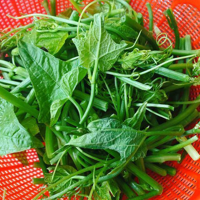 Loại rau bổ dưỡng như thịt bò, giàu chất sắt - Hình 2 Loai rau bo duong nhu thit bo, giau chat sat-Hinh-2