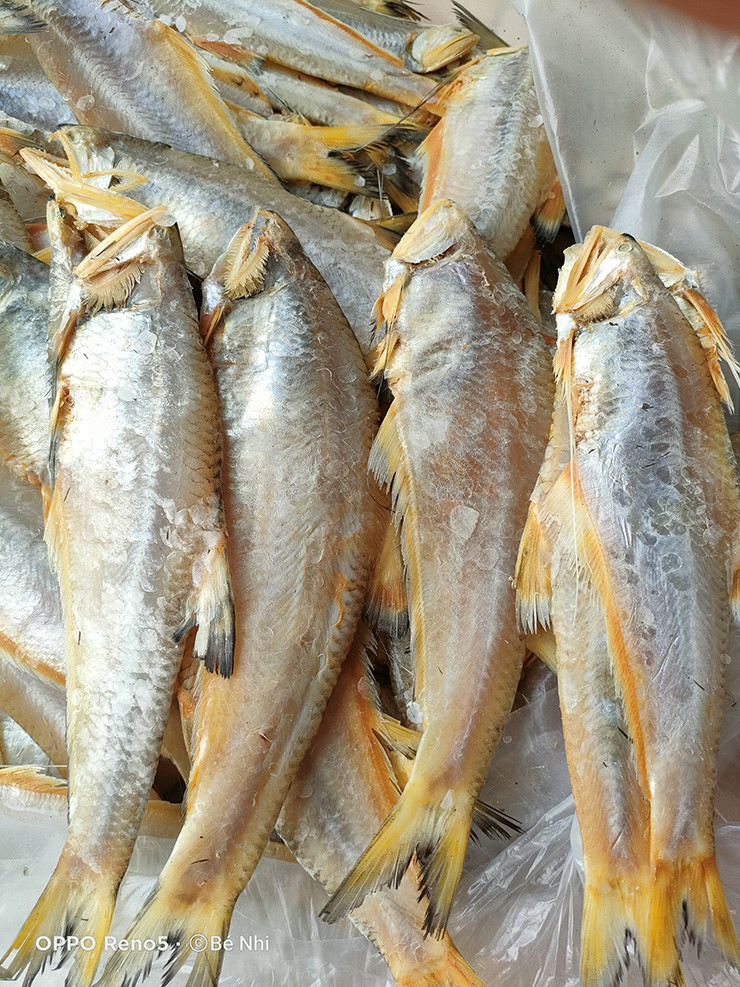 Ngày nay, người dân các tỉnh miền biển làm cá lẹp phơi khô hoặc mắm cá lẹp, vừa ngon vừa hấp dẫn