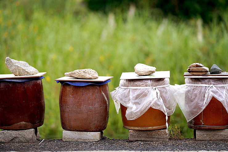 Mắm lẹp Quảng Bình có thể được tìm mua ở những cửa hàng đặc sản hoặc trong các khu chợ nơi đây. Từ loài cá không ai ưa chuộng, nay cá lẹp lại trở thành một đặc sản ở Quảng Bình