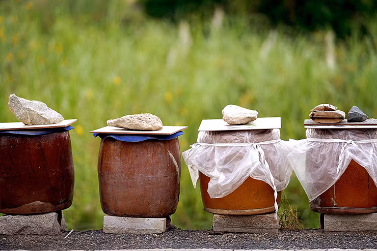 Mắm lẹp Quảng Bình có thể được tìm mua ở những cửa hàng đặc sản hoặc trong các khu chợ nơi đây. Từ loài cá không ai ưa chuộng, nay cá lẹp lại trở thành một đặc sản ở Quảng Bình