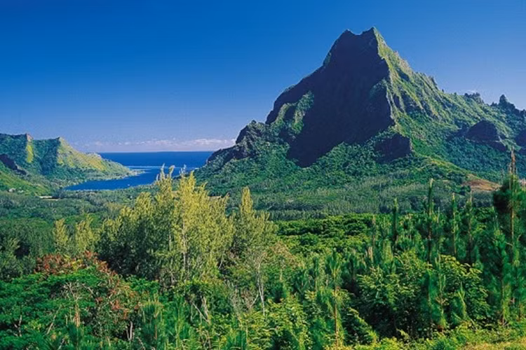 Moorea đang cạnh tranh với Bora Bora là địa điểm tốt nhất dành cho các cặp đôi hưởng tuần trăng mật.