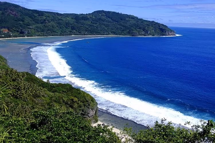 Được mệnh danh là Đảo Cá voi, Rurutu có bãi biển tuyệt vời và du khách còn có thể chiêm ngưỡng những đàn cá voi từ tháng 7 đến tháng 8 trong năm.