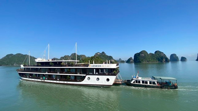 Gan 17.000 du khach quoc te den Hai Phong dip Tet Nguyen dan-Hinh-2