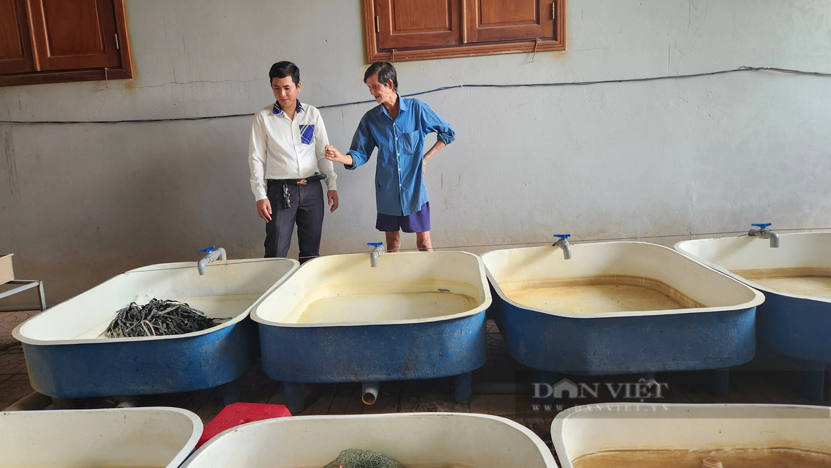 Cần Thơ: Thu tiền tỷ từ nuôi lươn không bùn - Hình 3 Can Tho: Thu tien ty tu nuoi luon khong bun-Hinh-3