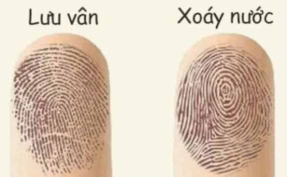 Soi duong chi tay, biet ai so phu quy, hay ca doi chat vat-Hinh-5