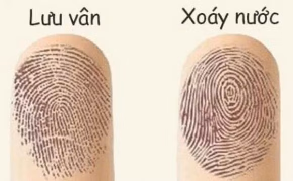 Soi duong chi tay, biet ai so phu quy, hay ca doi chat vat-Hinh-5