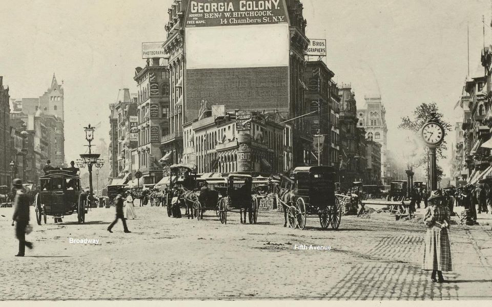 Trái với người nhập cư, những người dân New York mắc bệnh hoặc bị nghi mắc bệnh lại không bị cách ly triệt để như vậy. Điều đó khiến dịch sốt phát ban có cơ hội lan truyền trong thành phố, gây nên cái chết của nhiều người.