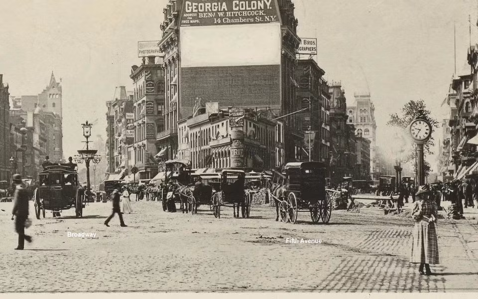 Trái với người nhập cư, những người dân New York mắc bệnh hoặc bị nghi mắc bệnh lại không bị cách ly triệt để như vậy. Điều đó khiến dịch sốt phát ban có cơ hội lan truyền trong thành phố, gây nên cái chết của nhiều người.