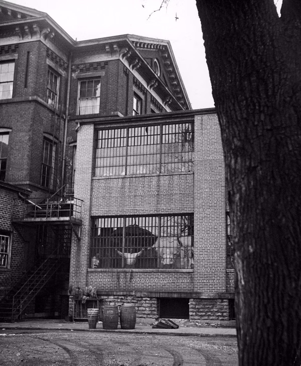 Một ô cửa của bệnh việnn tâm thần nhìn từ bên ngoài.