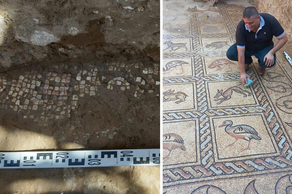 Trong cay, anh nong dan dao duoc kho bau vo song 1.500 nam