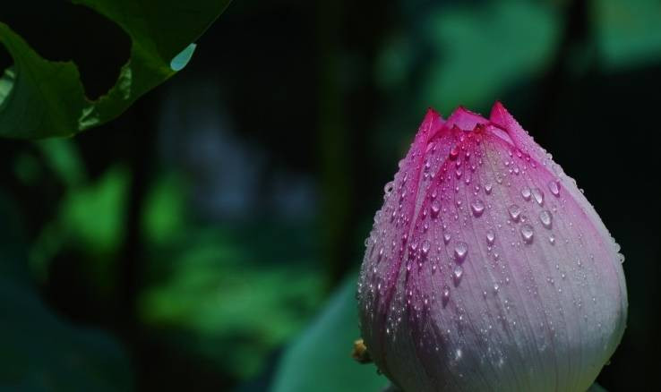 Trẻ sinh vào 3 tháng Âm này, sao tốt chiếu mệnh, phúc lộc vẹn toàn - Hình 2 Tre sinh vao 3 thang Am nay, sao tot chieu menh, phuc loc ven toan-Hinh-2