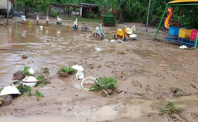 Khuôn viên trường bị vùi lấp bởi bùn đất nhão nhoét