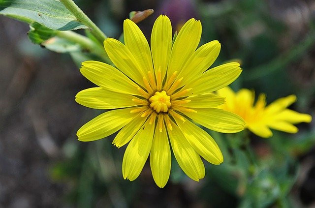 Giờ sinh của người nhân hậu, không biết làm chuyện xấu Gio sinh cua nguoi nhan hau, khong biet lam chuyen xau