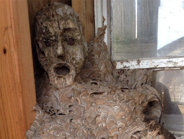 Bức tượng gỗ này sau một thời gian dài bị bỏ quên đã trở thành nhà của các chú ong và đây là kết quả rùng mình.