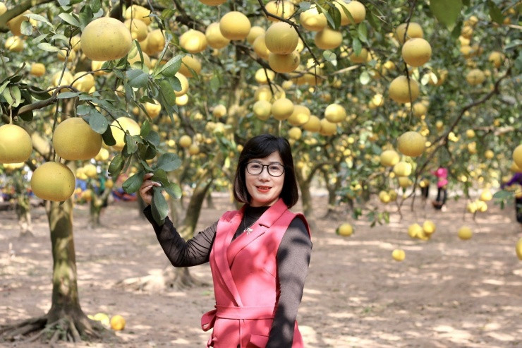 Chị Thanh Nga (Hoàng Quốc Việt) cho biết: "Mấy ngày gần đây, tôi thấy nhiều người chụp hình tại vườn bưởi rồi đăng lên mạng xã hội. Vừa hay hôm nay có việc đi qua đây nên tôi cũng vào chụp mấy kiểu làm kỷ niệm." 