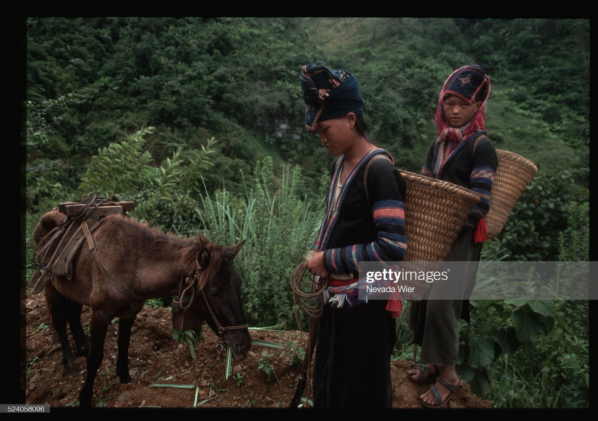 Hai thiếu nữ người H'Mông Đỏ và chú ngựa nhỏ trên con đường đất ở Lai Châu.