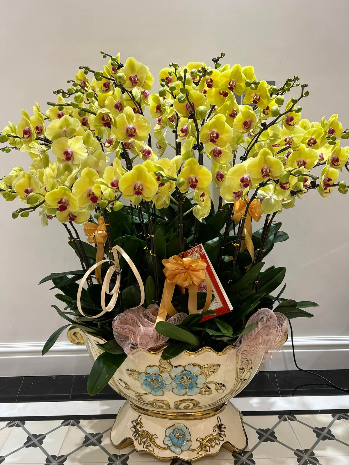 Để chuẩn bị cho dịp Tết Nguyên Đán sắp tới, vợ chồng ca sĩ bài trí rất nhiều loại hoa trong nhà. Hai chậu Lan giá trị khiến căn biệt thự của Tuấn Hưng trở nên rực rỡ hơn bao giờ hết. Đây đều là những món quà của bạn bè, anh em tặng Tuấn Hưng.