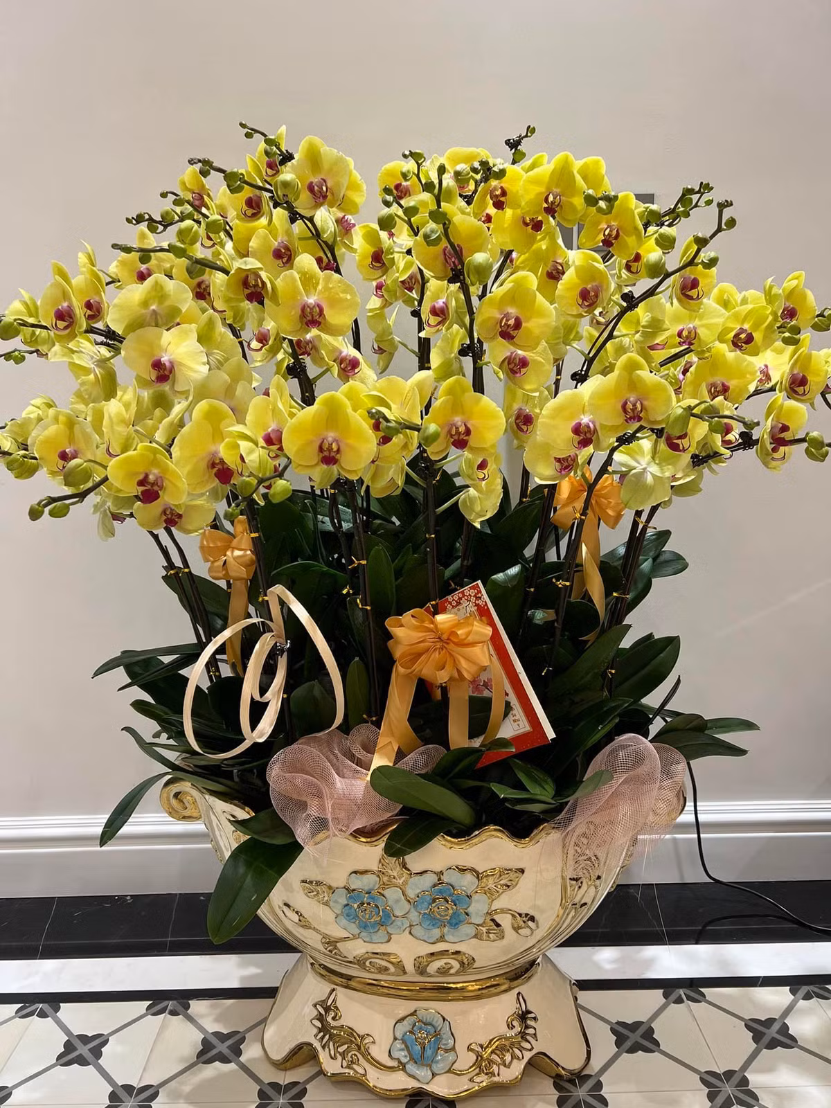 Để chuẩn bị cho dịp Tết Nguyên Đán sắp tới, vợ chồng ca sĩ bài trí rất nhiều loại hoa trong nhà. Hai chậu Lan giá trị khiến căn biệt thự của Tuấn Hưng trở nên rực rỡ hơn bao giờ hết. Đây đều là những món quà của bạn bè, anh em tặng Tuấn Hưng.