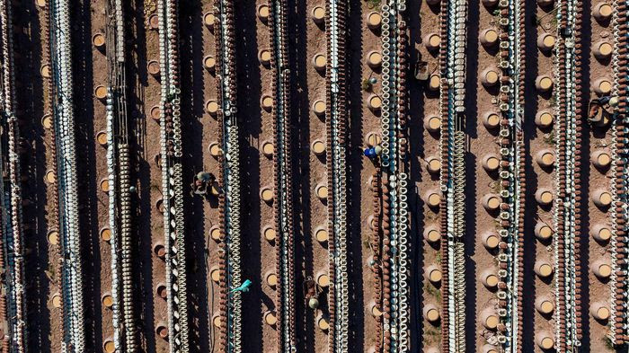 Chủ cơ sở là ông Lê Quang Lợi, ngụ thị xã Tân Uyên, người có gần 15 năm làm nghề tạo hình linh vật dịp Tết Nguyên đán bằng đất nung. Dịp Tết năm nay, hổ vàng là linh vật được cơ sở tập trung gia công.