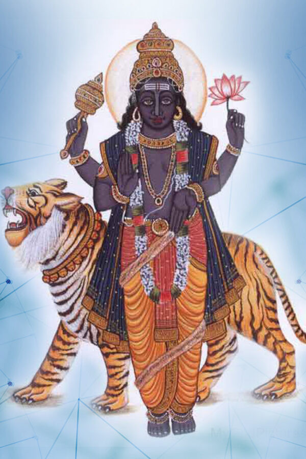 Ít ai biết rằng, hình tượng hổ phù có nguồn gốc từ nền văn minh Ấn Độ cổ đại. Theo những bản kinh tối cổ Puranas, hổ phù được nhắc đến trong câu chuyện về cuộc đấu tranh giành nước trường sinh giữa thần Vishnu và quỷ Rahu.