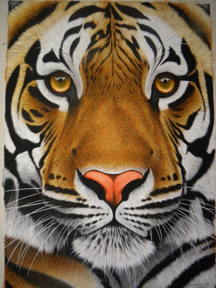  Hổ phụ sinh hổ tử (cha hổ sinh con hổ): Cha nào con nấy (mặt mạnh mặt tốt).