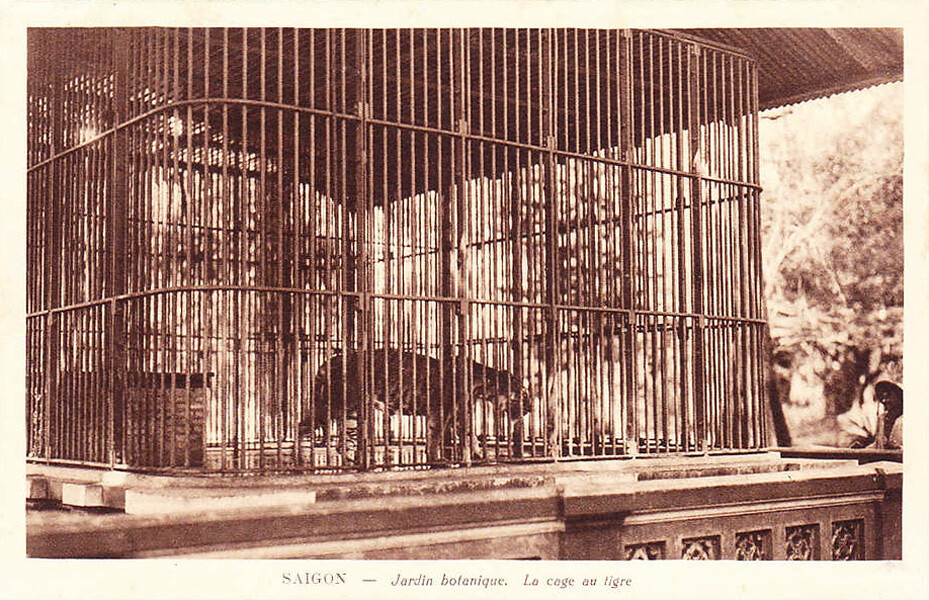 Bên ngoài khu chuồng cọp ở Thảo Cầm Viên Sài Gòn xưa.