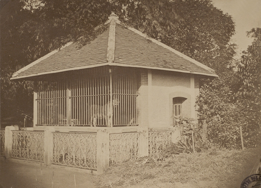 Một hình ảnh khác về chuồng cọp Thảo Cầm Viên đầu thế kỷ 20.