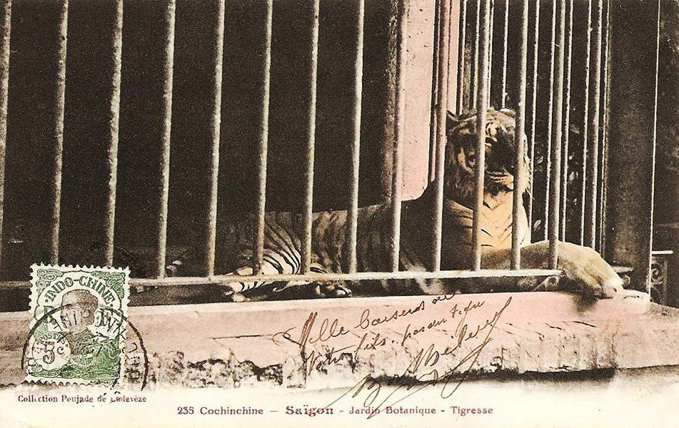 "Gặm một khối căm hờn trong cũi sắt" Thảo Cầm Viên.