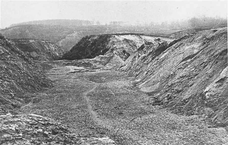 Bắt đầu từ ngày 29/9, 34.000 người Do Thái đã bị ép di chuyển thành từng nhóm nhỏ đến khe núi Babi Yar, nằm về phía Bắc của thành phố.